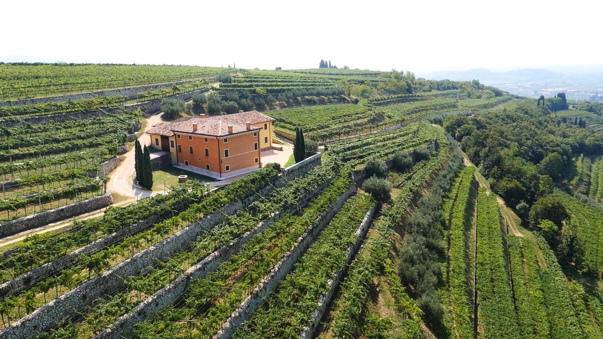 Speri og håbet for Valpolicella