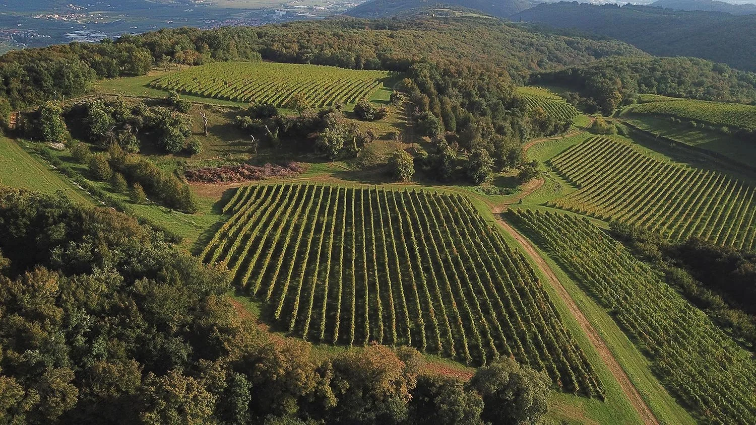 Brigaldaras bakketop