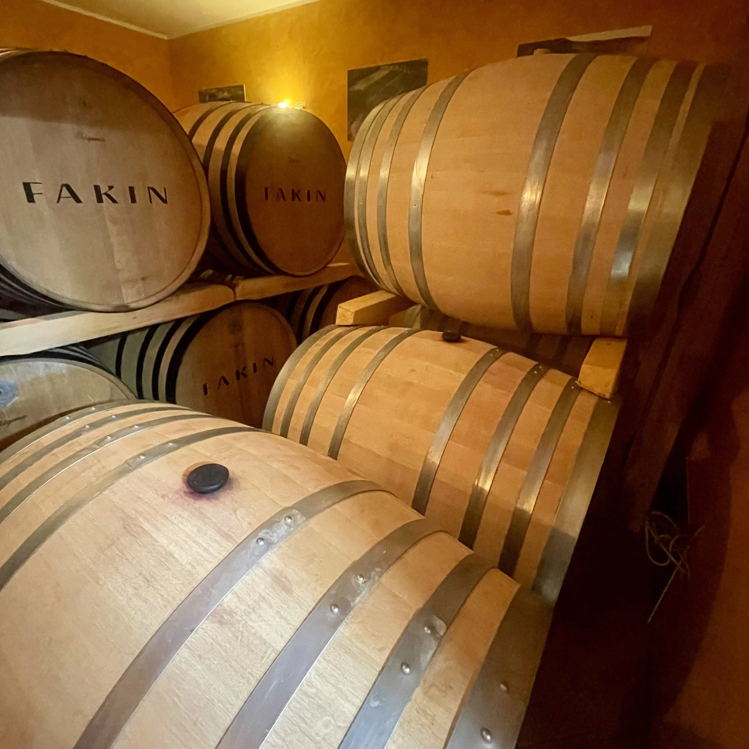 Podrum Fakin bačve Flaskevis (c) Thomas Bohl.jpg