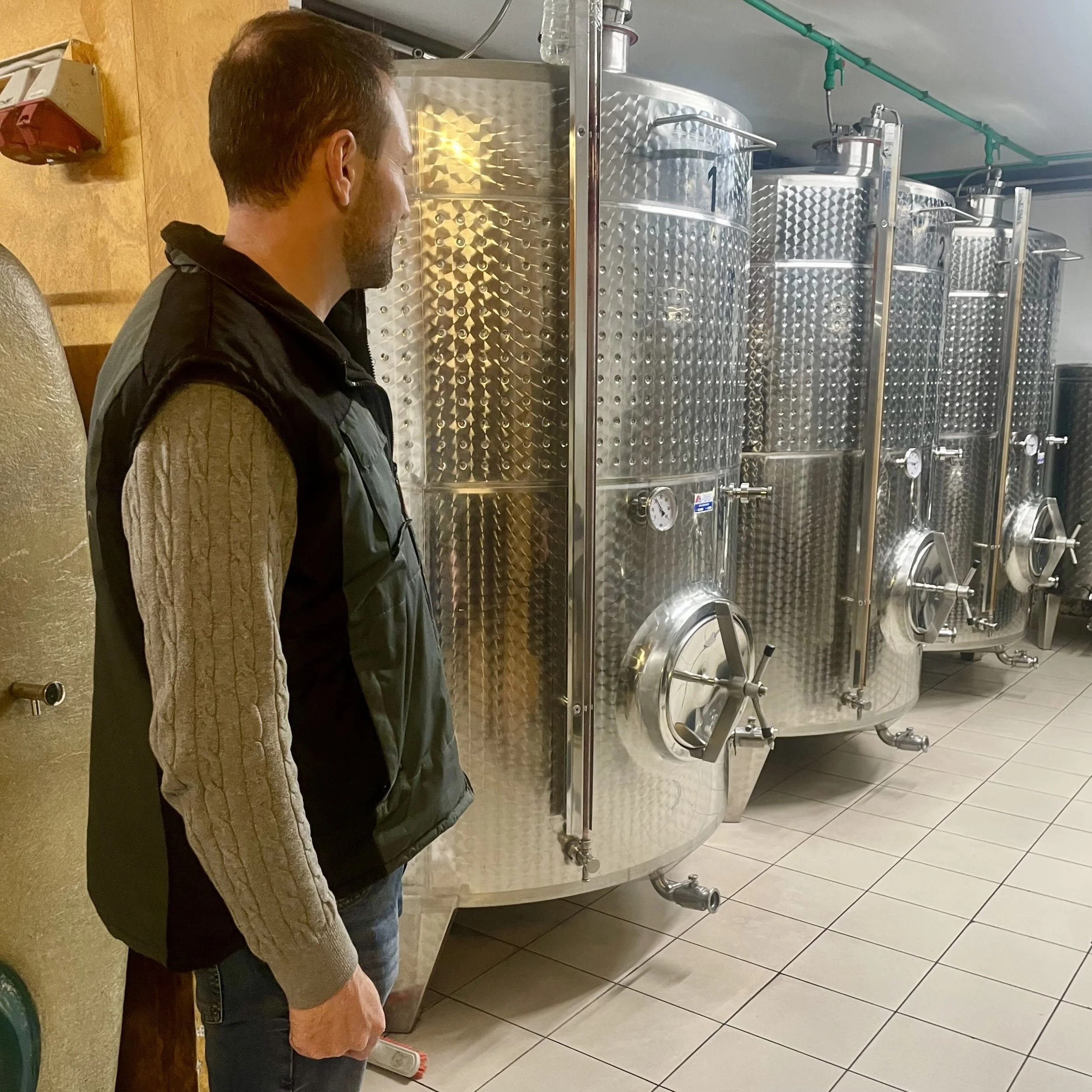 Podrum Fakin Flaskevis (c) Thomas Bohl.jpg