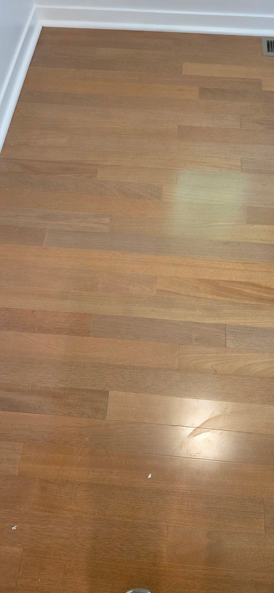 20260508_131014.JPG