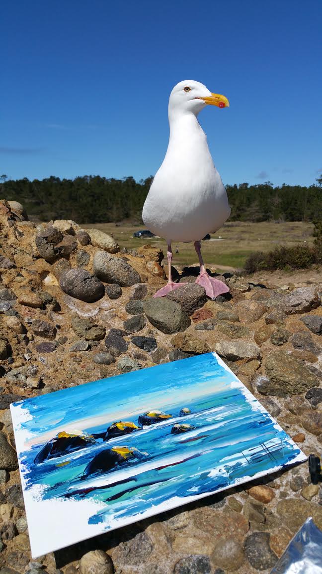 A seagull accompanying Lisa as she worked on California Melody