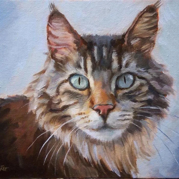 large_maine-coon-8x10-2018-full.jpg