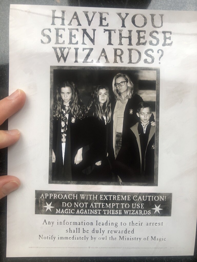 HaveYouSeenTheseWizards copy.jpeg