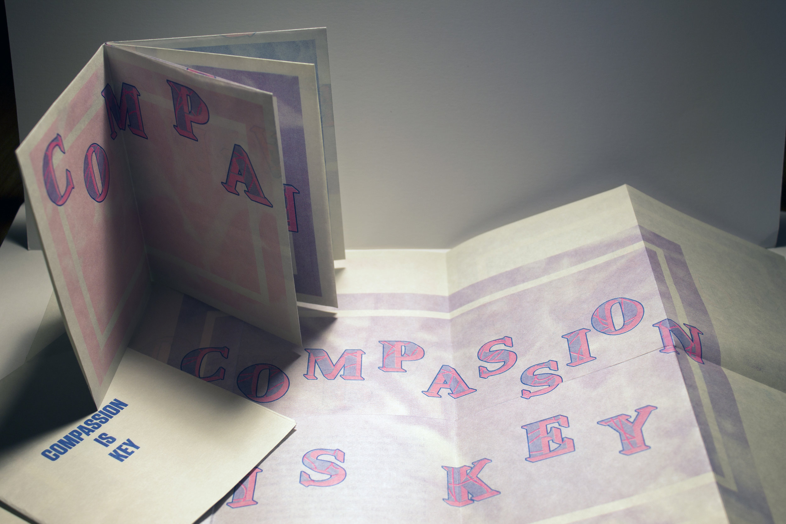 zine pic 3.jpg