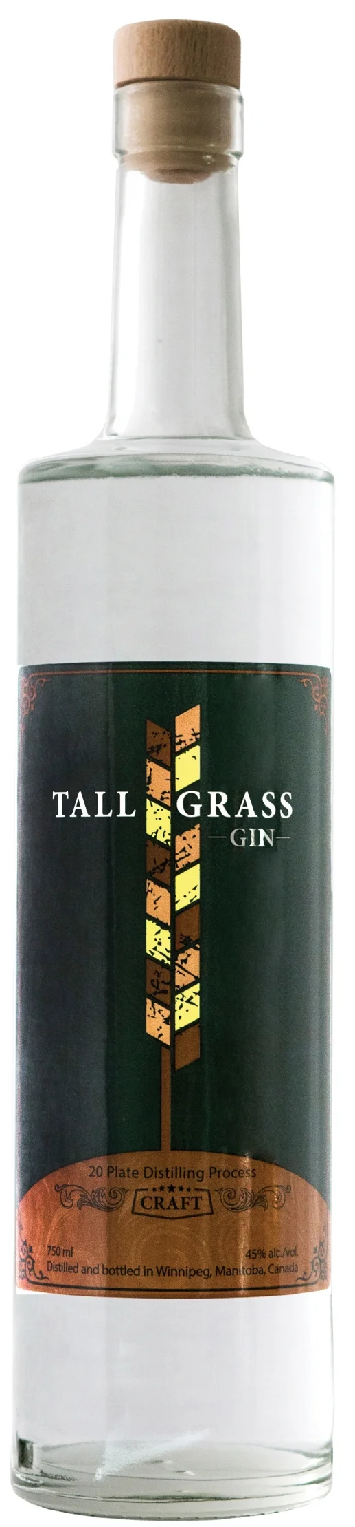 GIN_revised.jpg