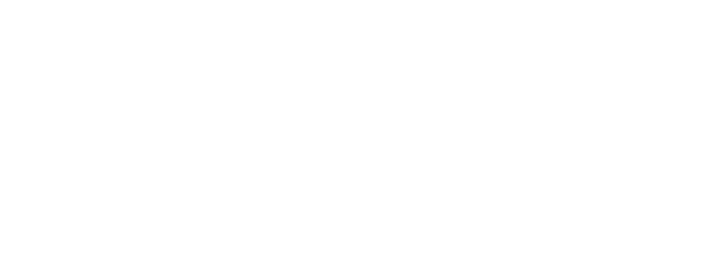 Stacey Litz Tax, LLC