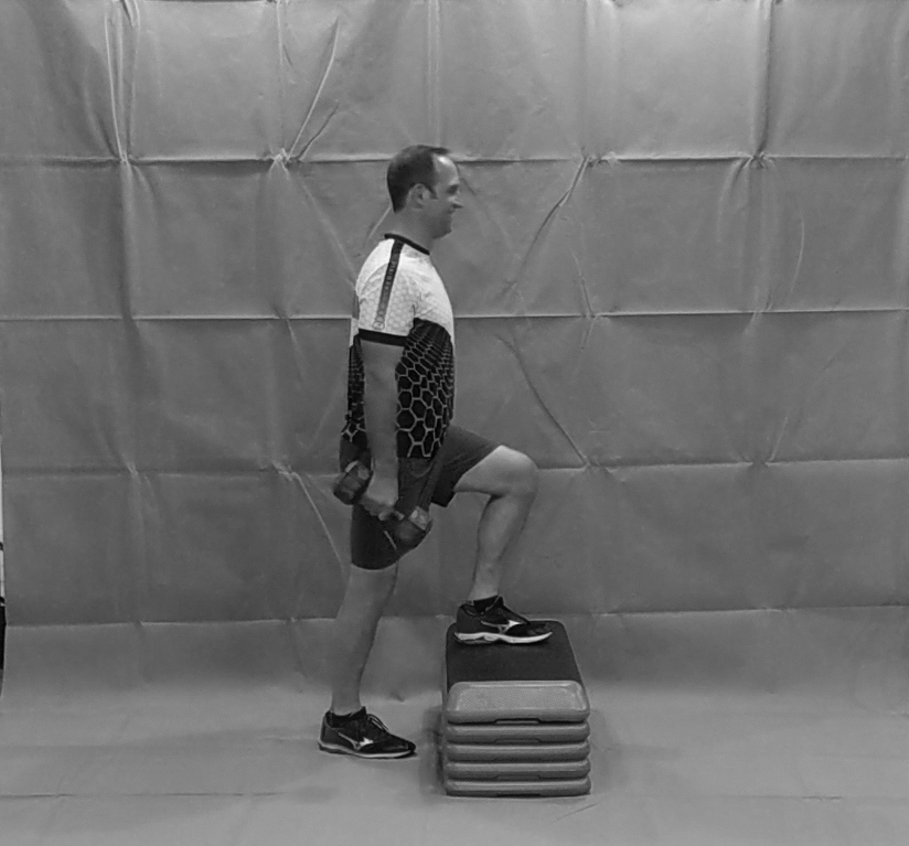 StepUpMirror (1).gif