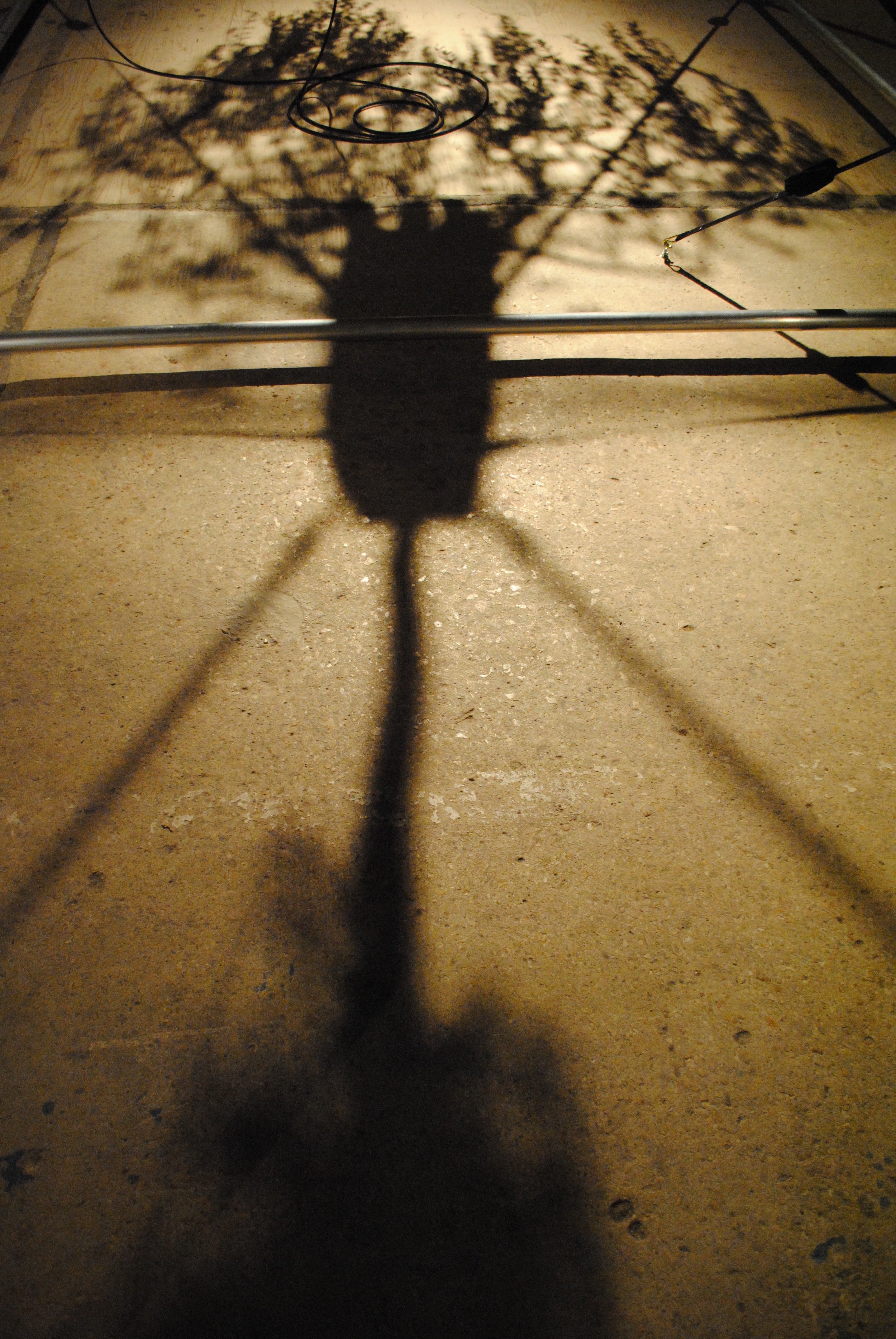 shadow.jpeg
