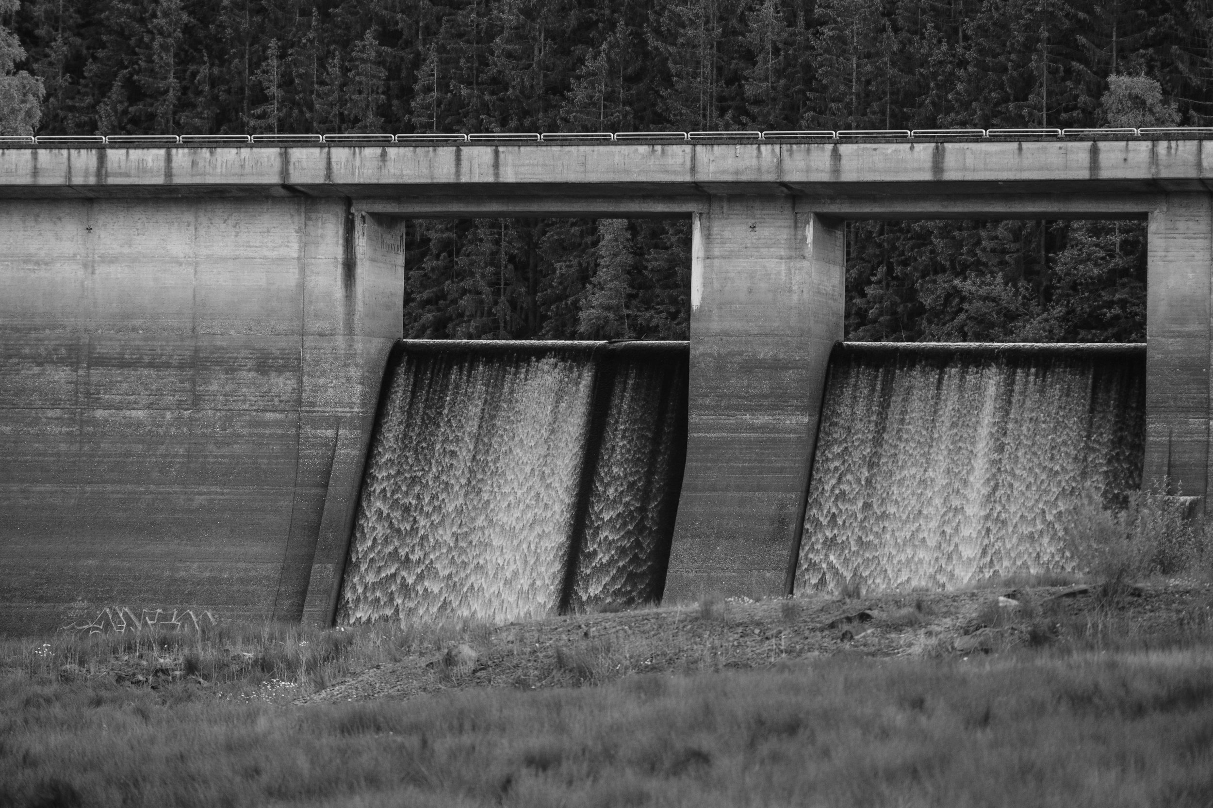 pexels-alexander-graf-8879025.jpg