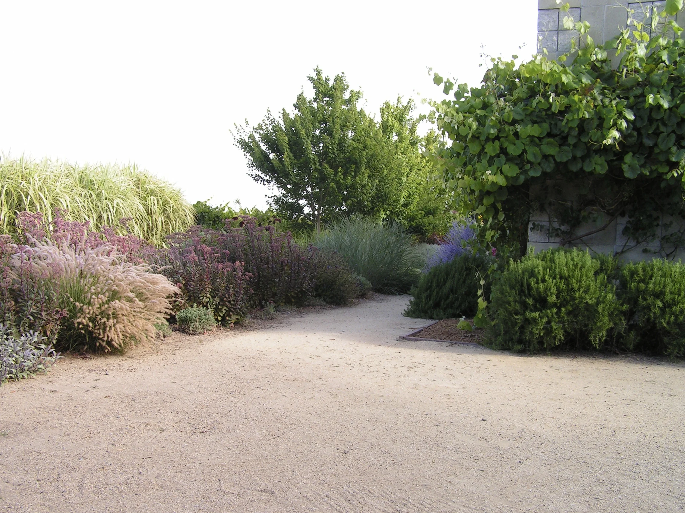 PICT0034.JPG.jpg