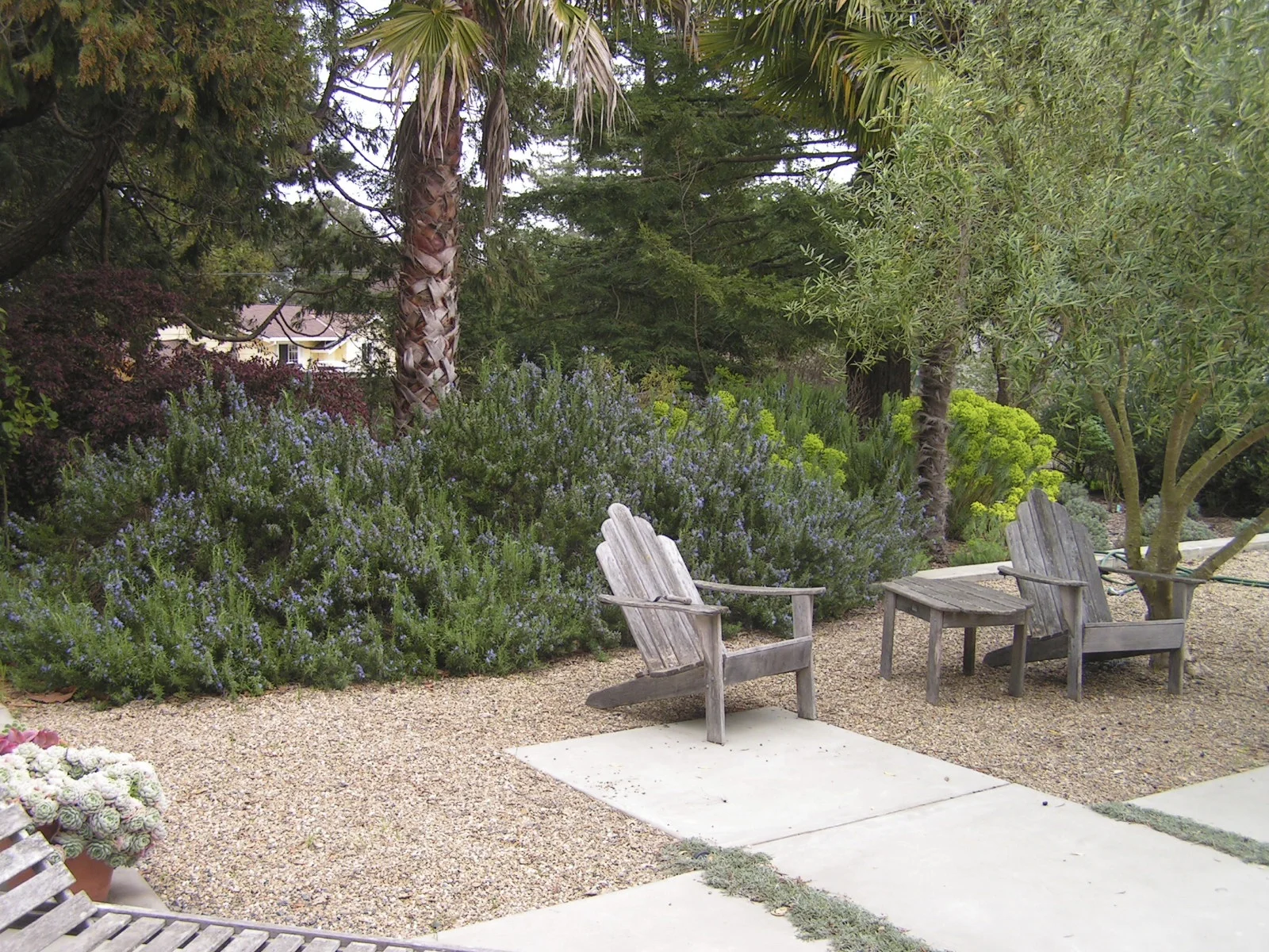 PICT0126.jpg