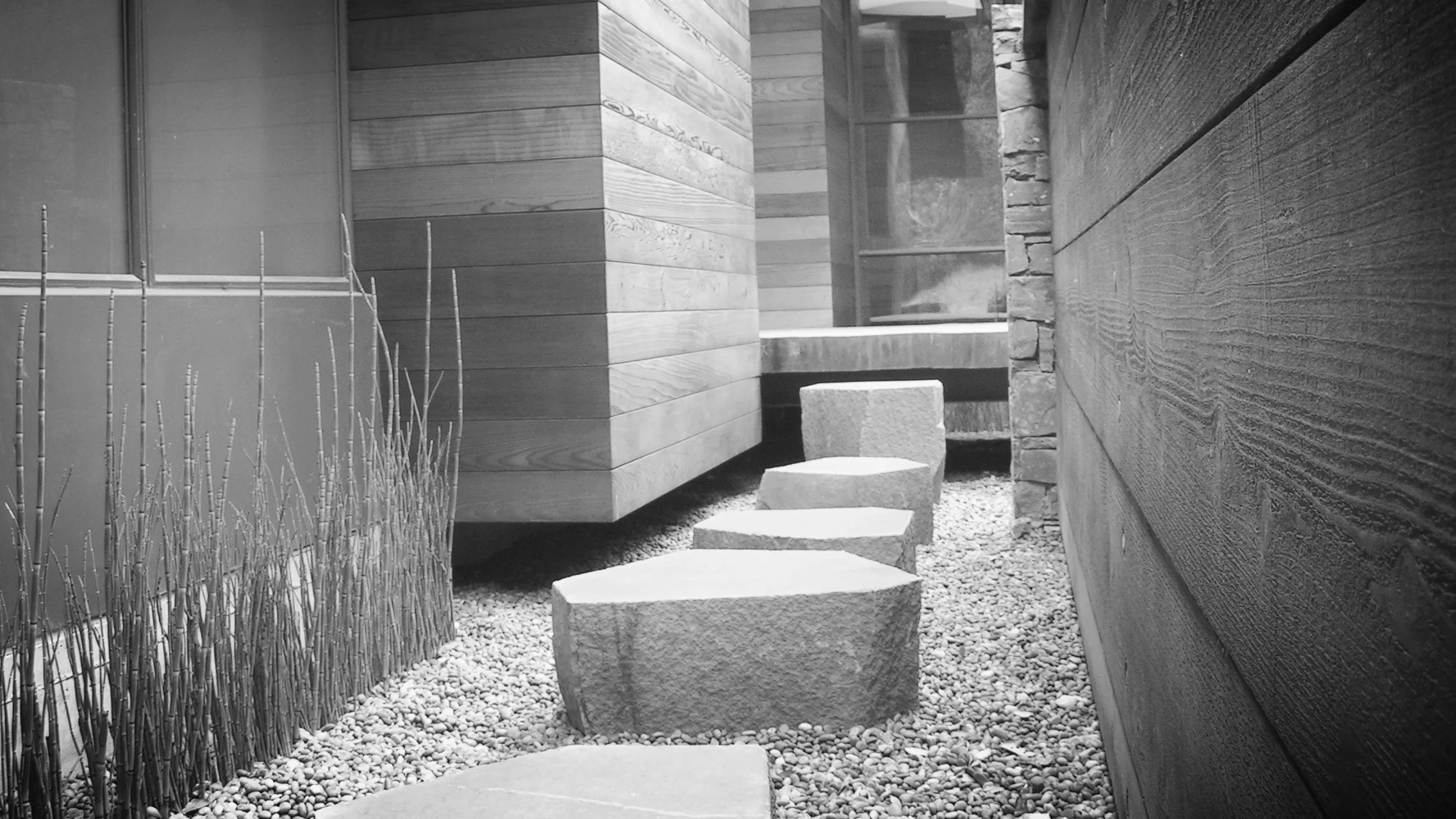 Photo portfolio - 17.jpg