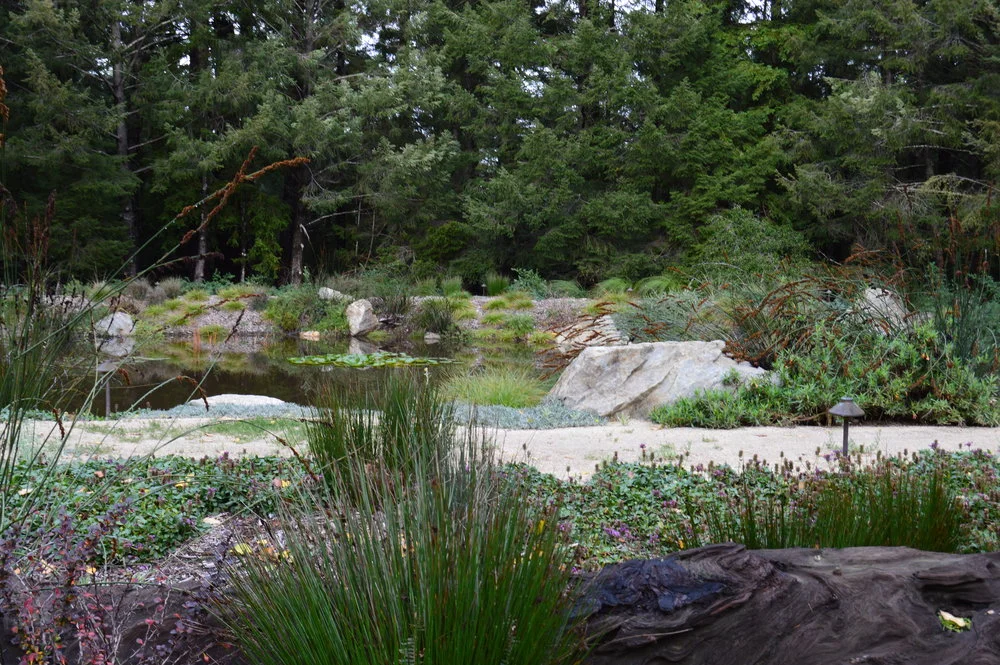 Cazadero image.jpg