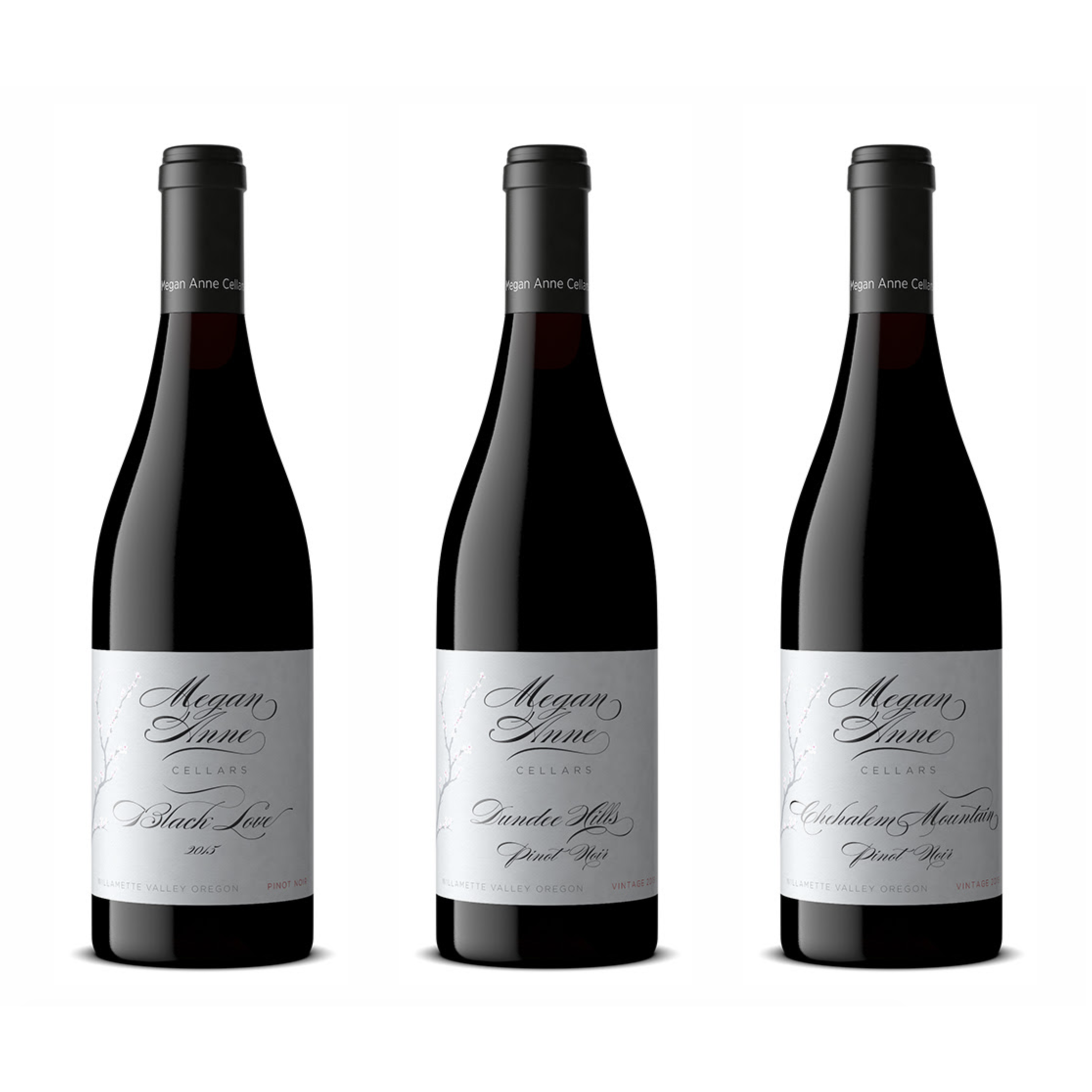 MeganAnneCellars_Cover.png