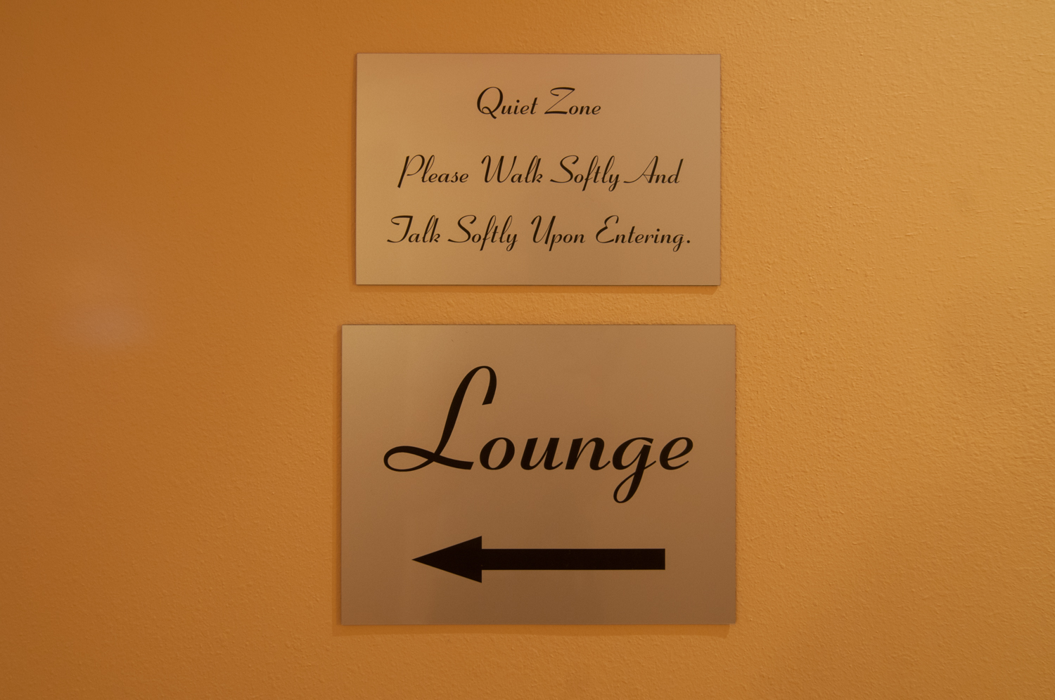 Lounge Hallway Spago Day Spa Medispa Salon Punta Gorda Florida Michael Stampar D.O. DO