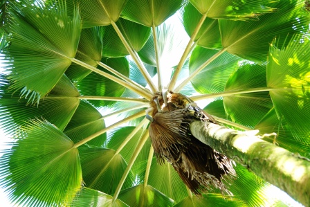 "Pleasing to the eye..."