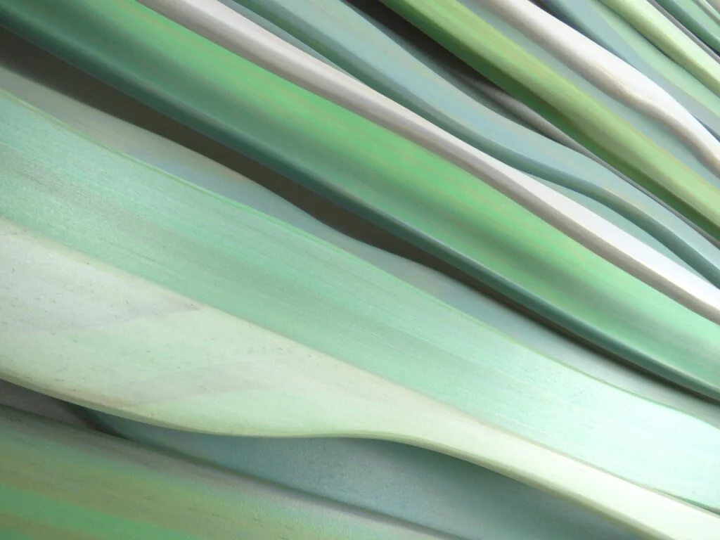 Beauty as a remedy for our heart's chaos