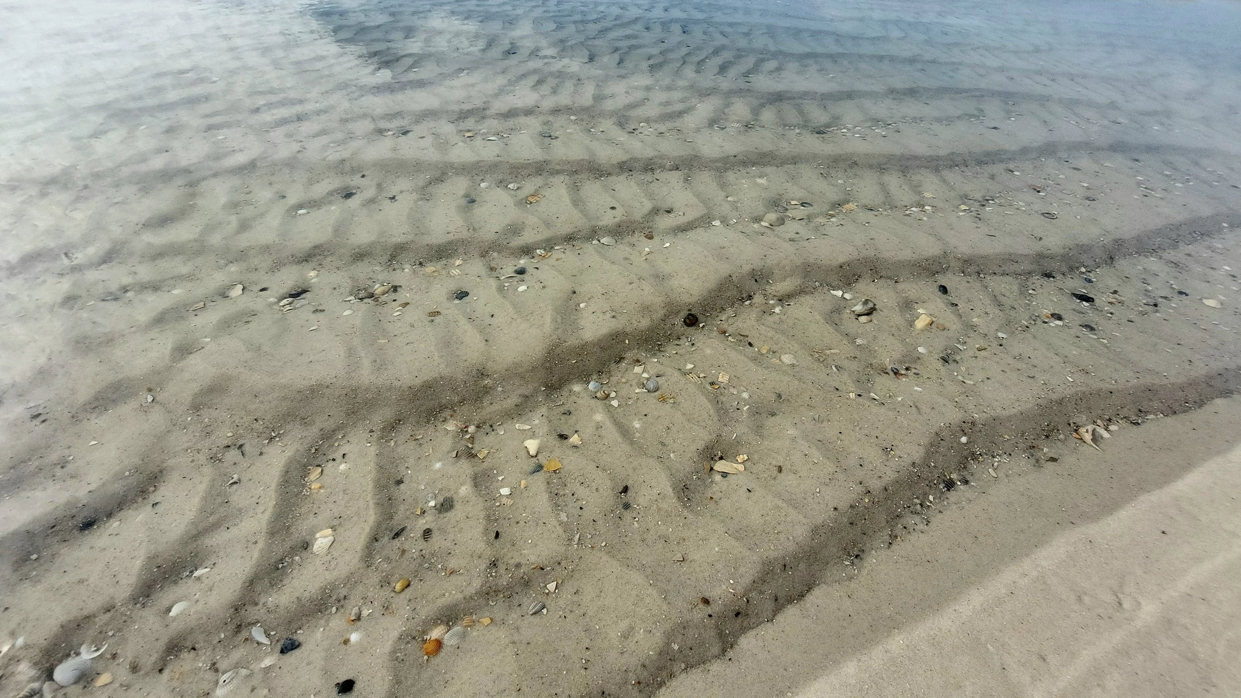  The Master Artisan is such a “wasteful” Artisan. Daily, He sculpts gorgeous forms like these which surely go unnoticed to most people. Thankfully, I was drawn to commune with them and was quickly stricken by their intricacy and beauty. I cannot thin