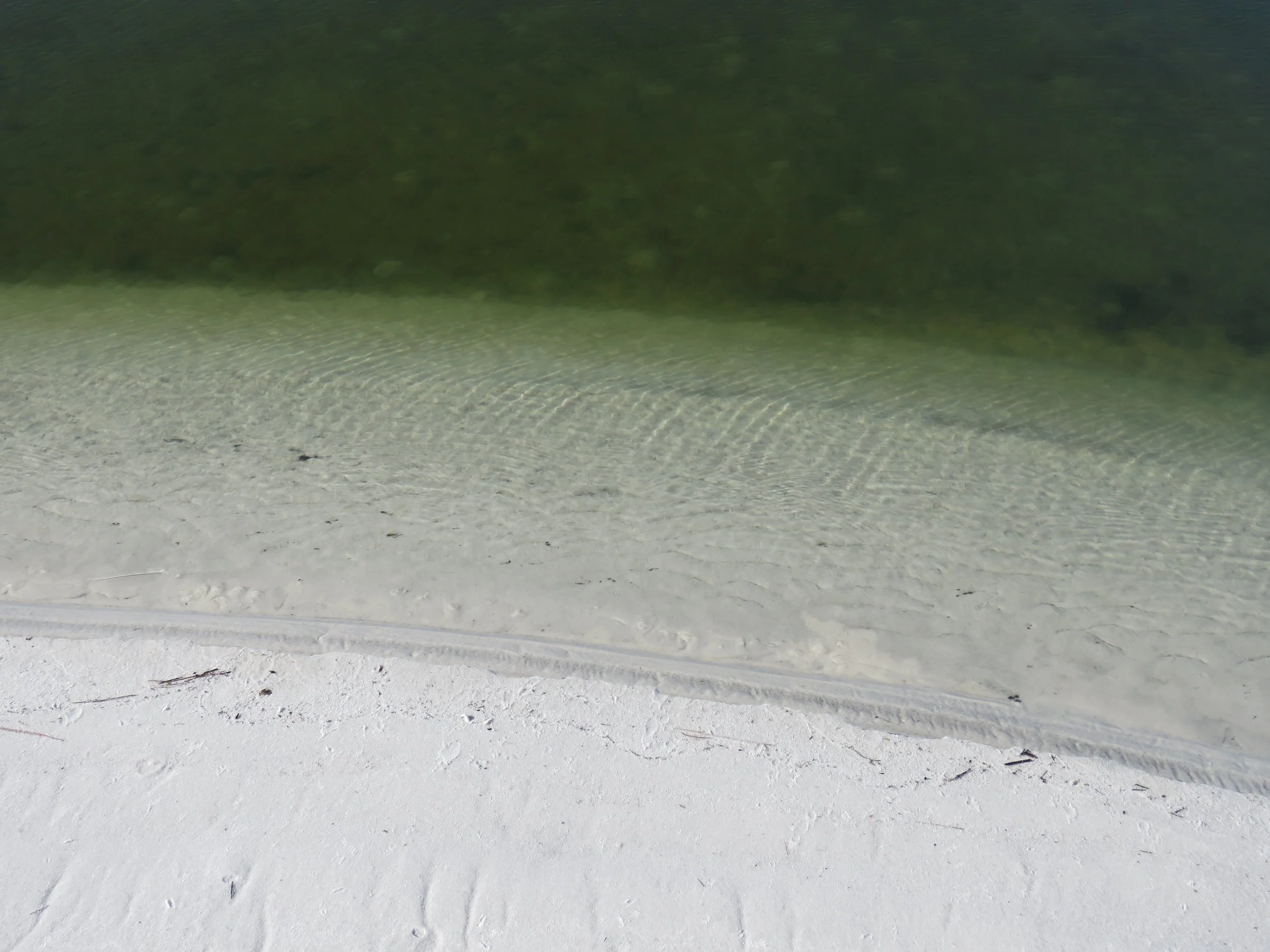  I took this photo during a walk around Little Lagoon in Gulf Shores, Alabama. I was stricken by the layered, rich colors in this shallow area of the Lagoon. By using a polarizing filter on the camera, I was able to appreciate the depth of this color