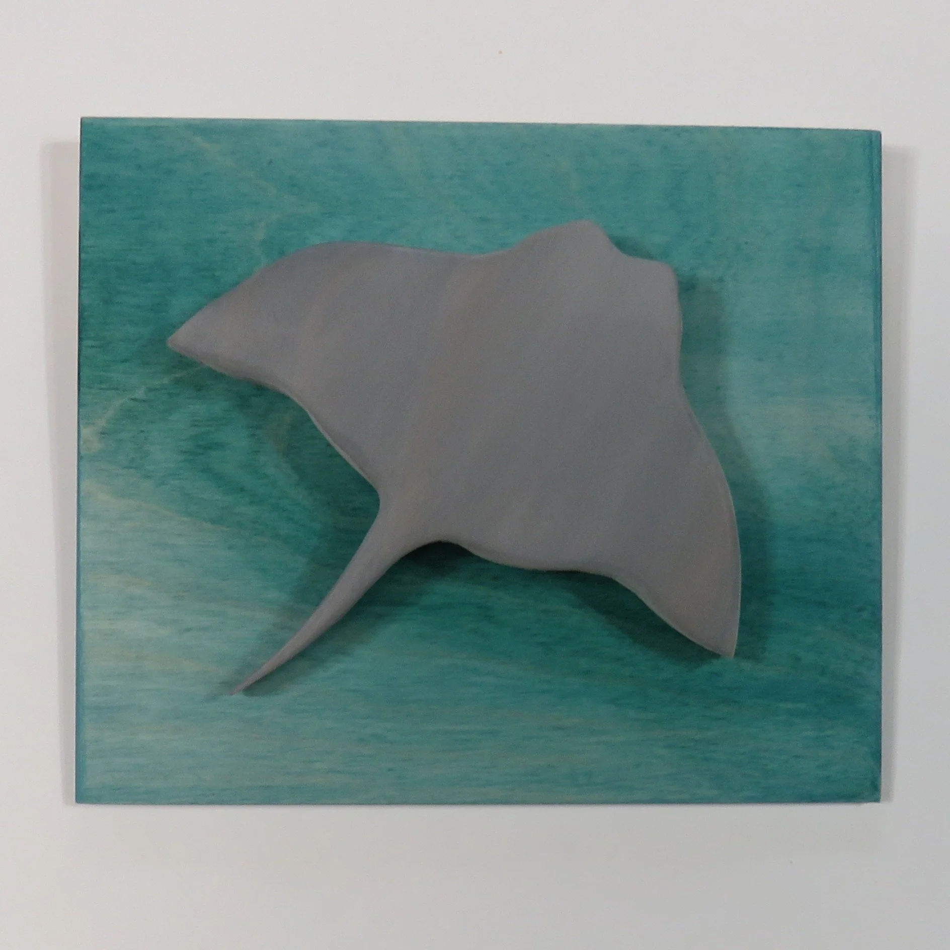 HAWAIIAN MANTA RAY