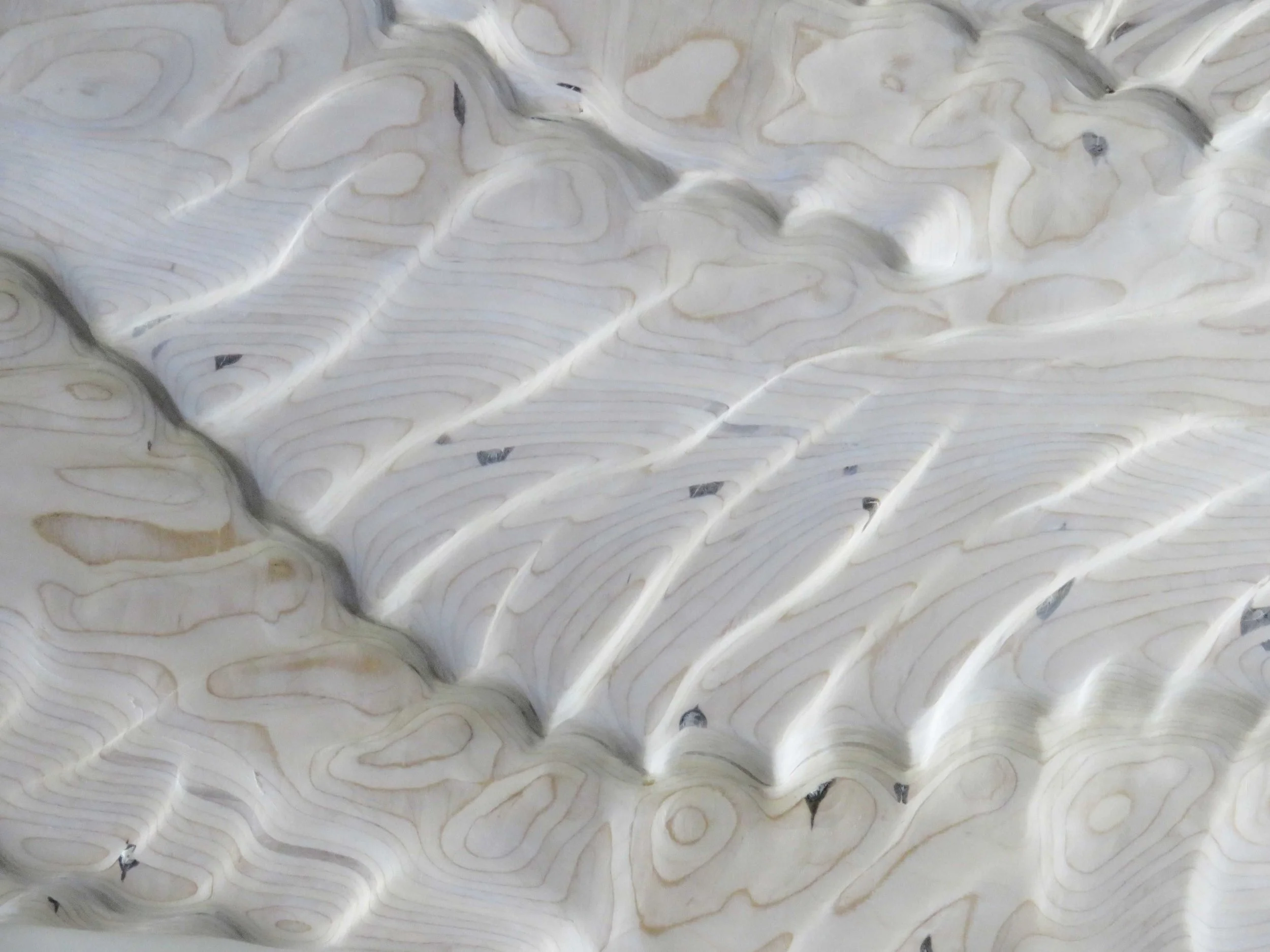 BON SECOUR SAND SCRAWL (detail)