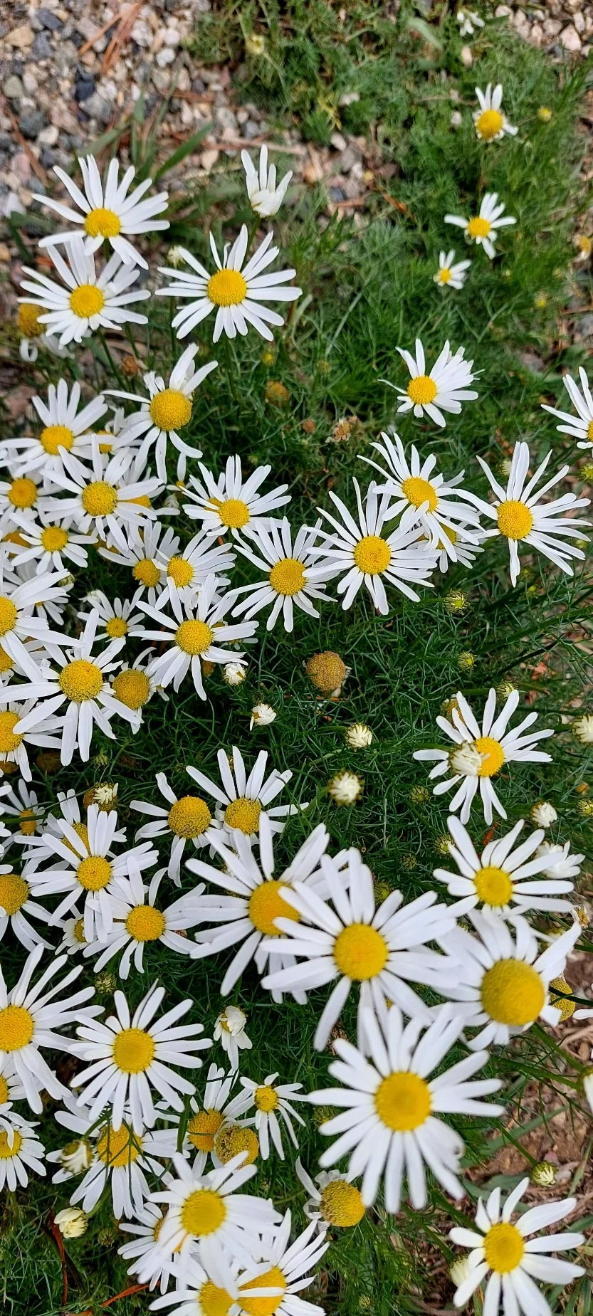 20260927_131656.jpg