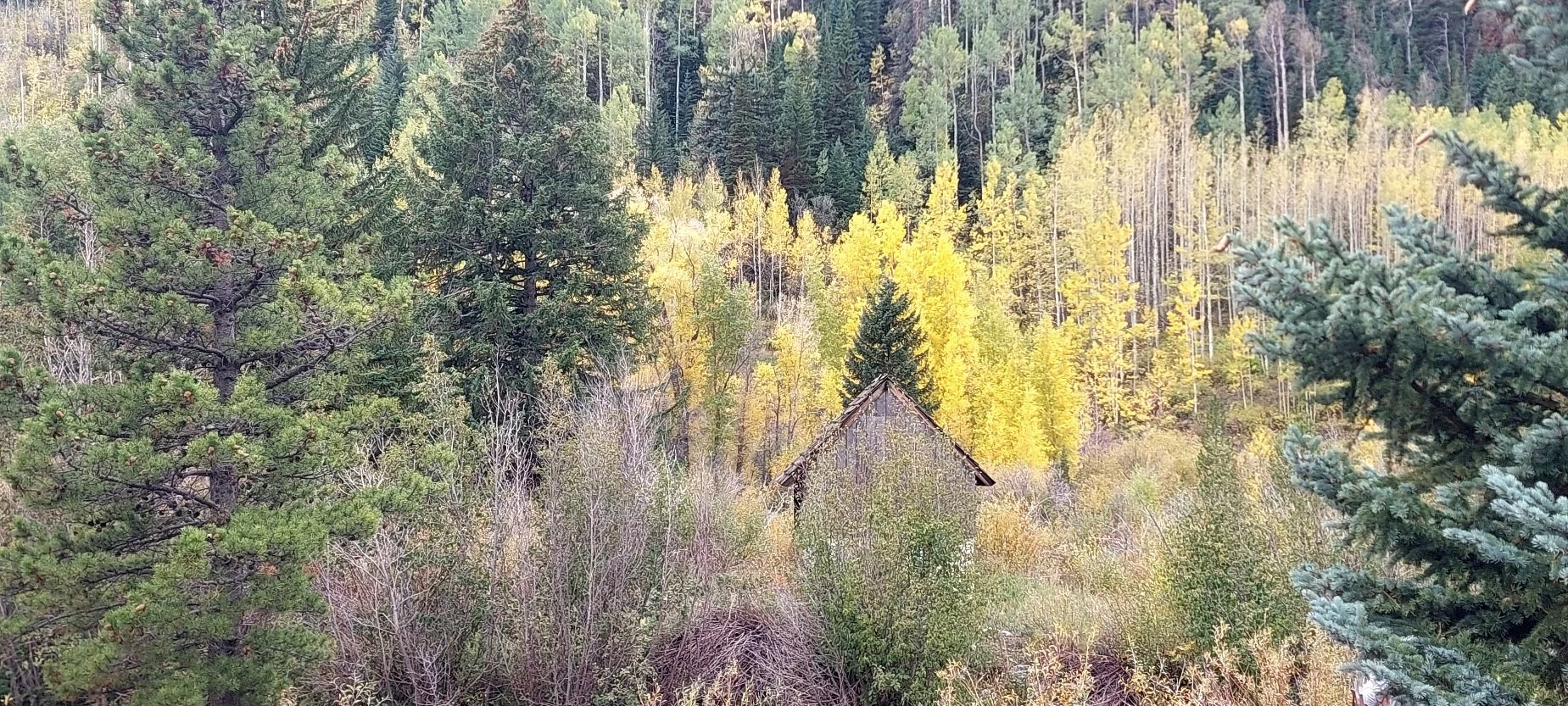 20260924_111756.jpg