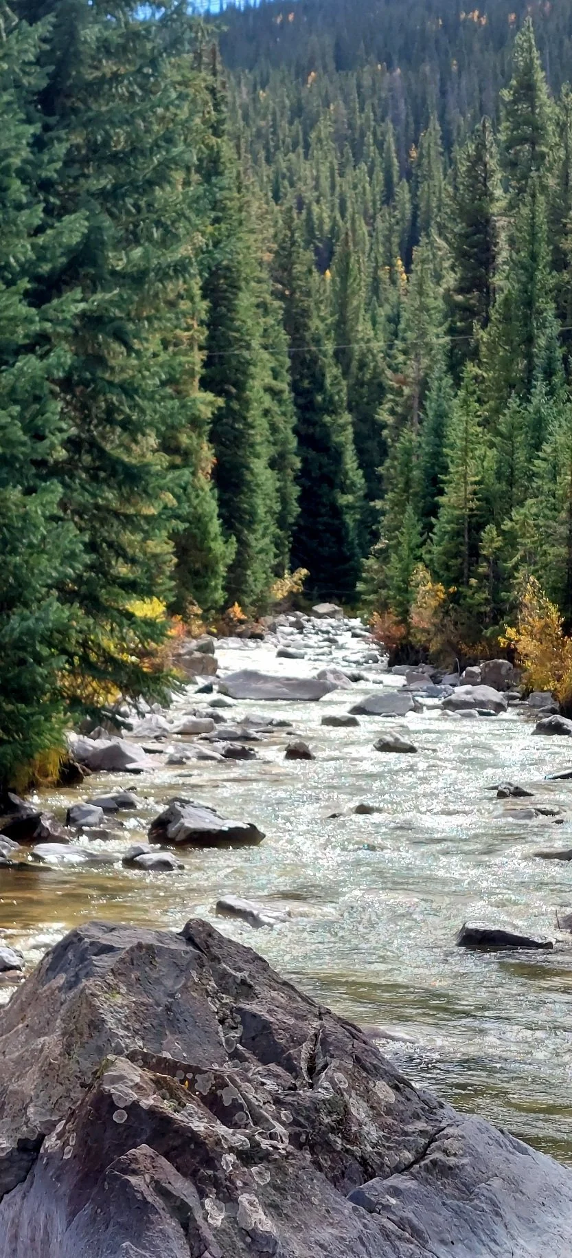 20260926_123434.jpg