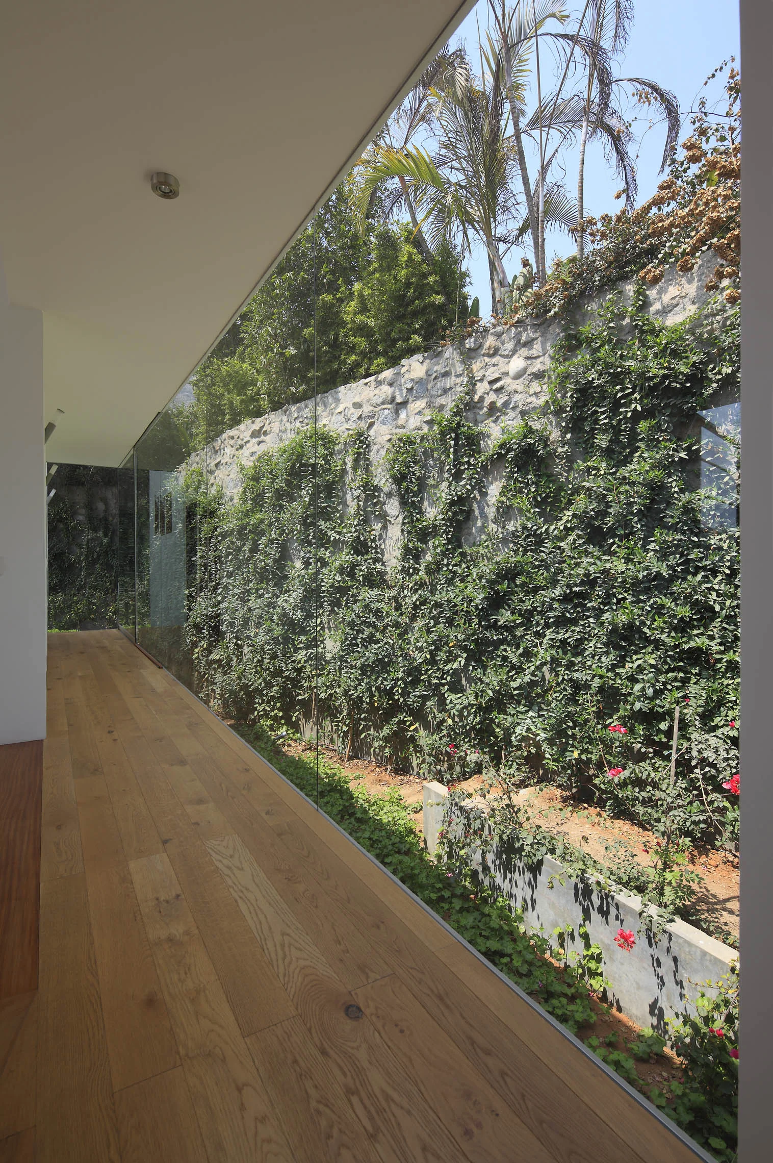 026_fotografo_JUAN SOLANO.jpg