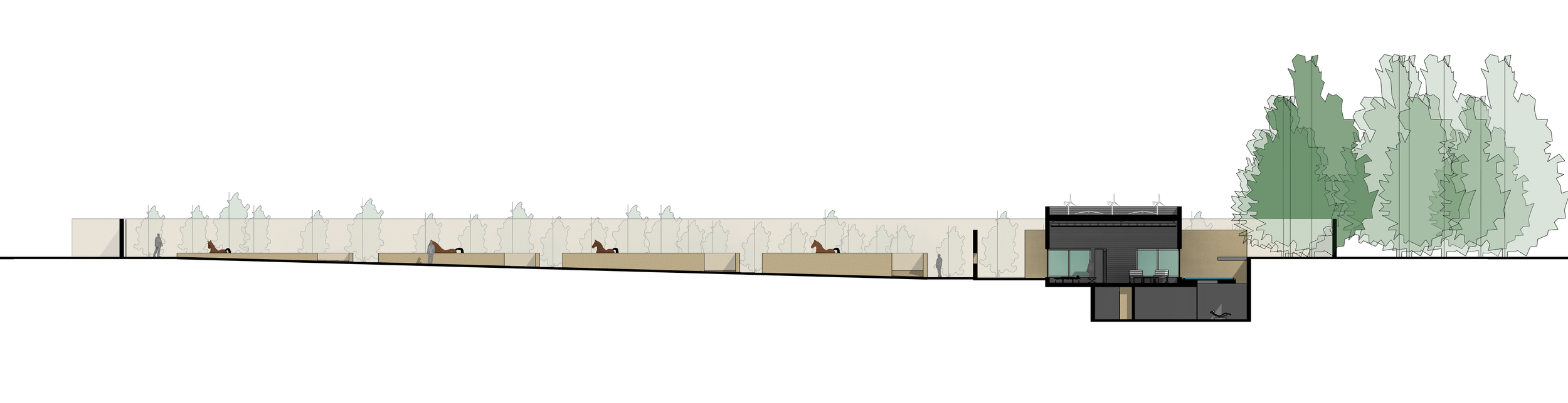 CASA_PA_7 - Sección - Sección 1 Copia 1.png