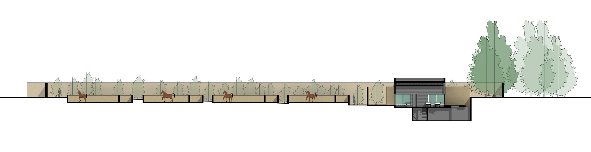 CASA_PA_7 - Sección - Sección 1.png