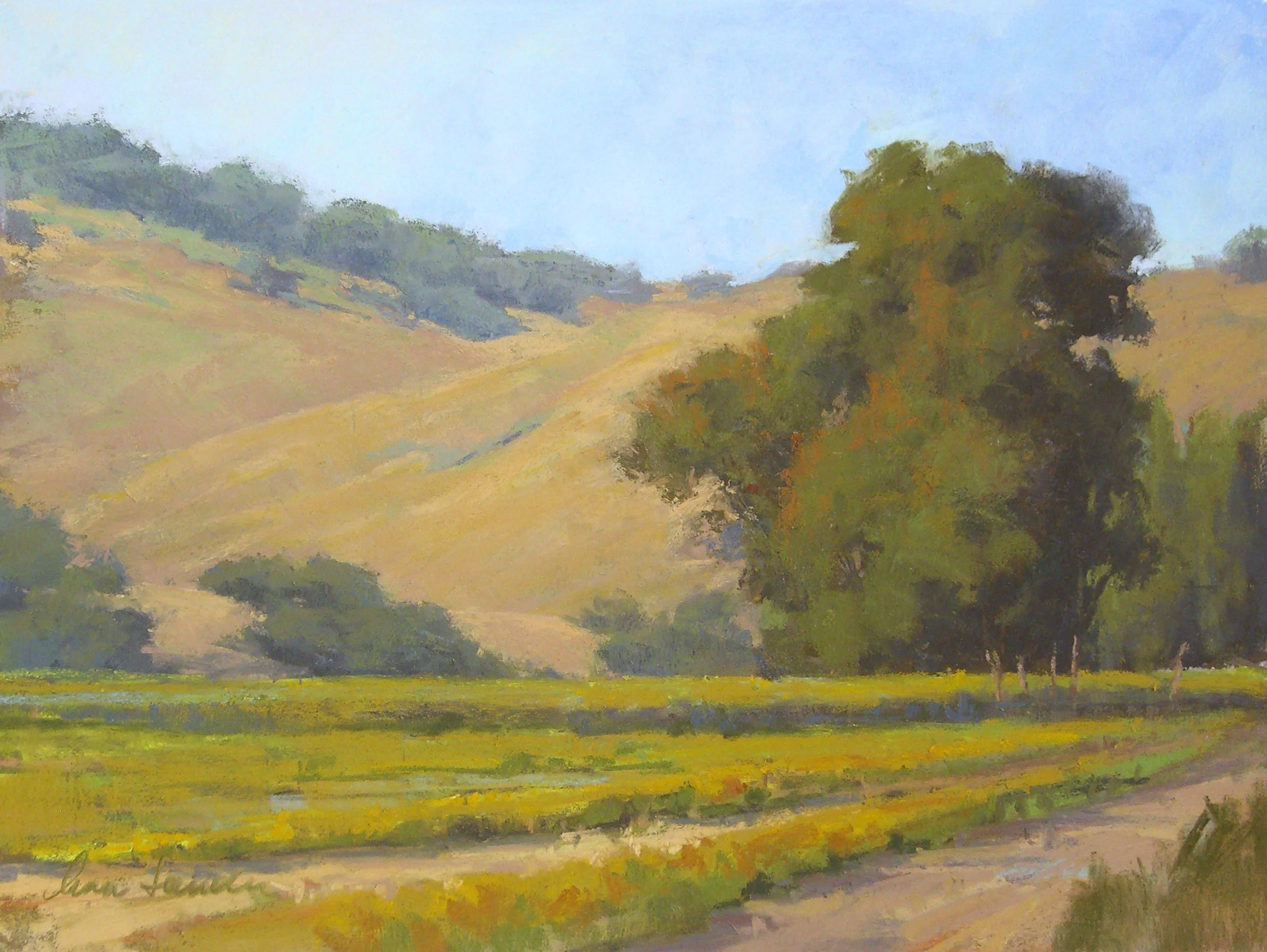 Valley Vineyard, pastel, 12x16 SOLD