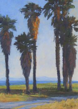 "Palm Sunset"
