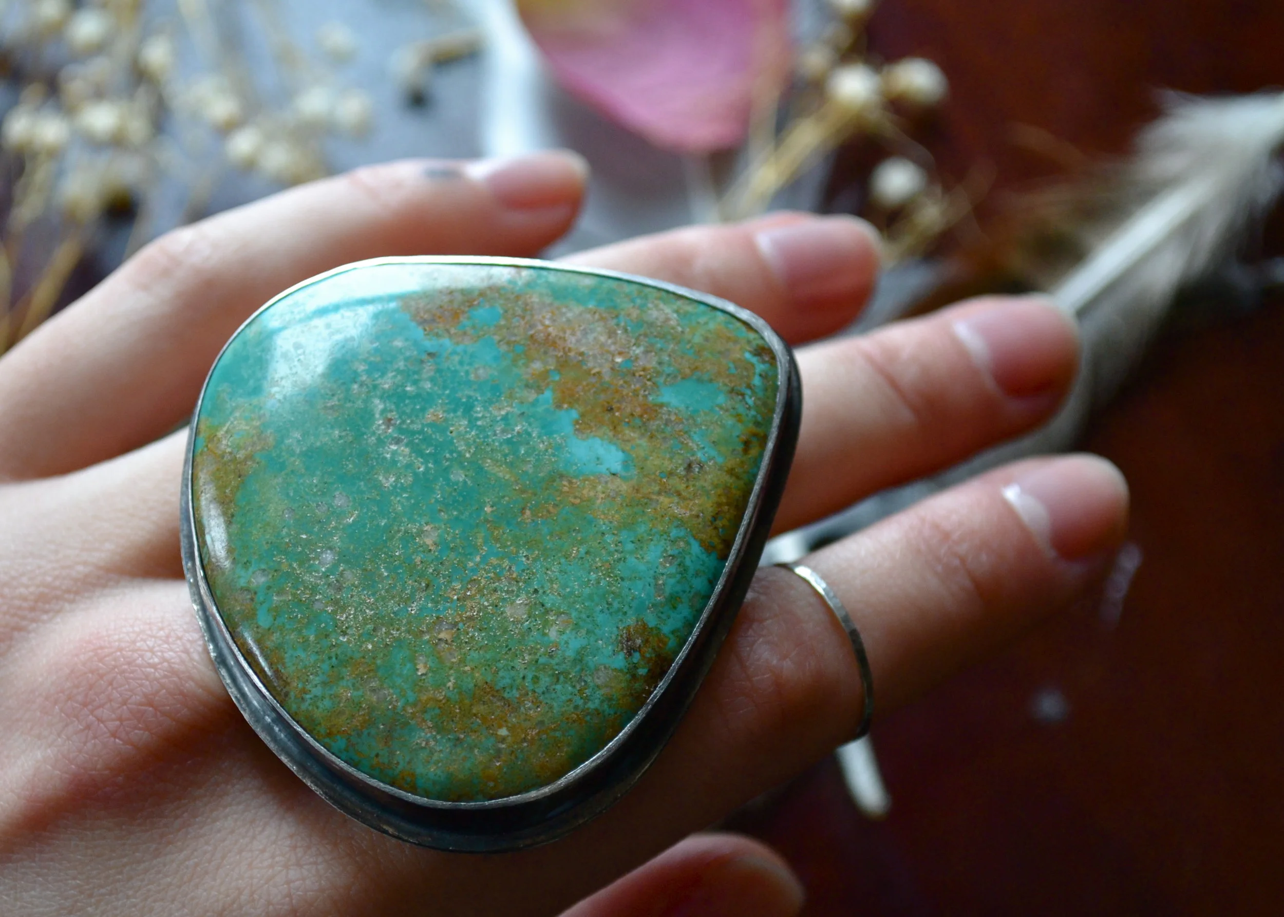 Pilot Mtn. statement.JPG