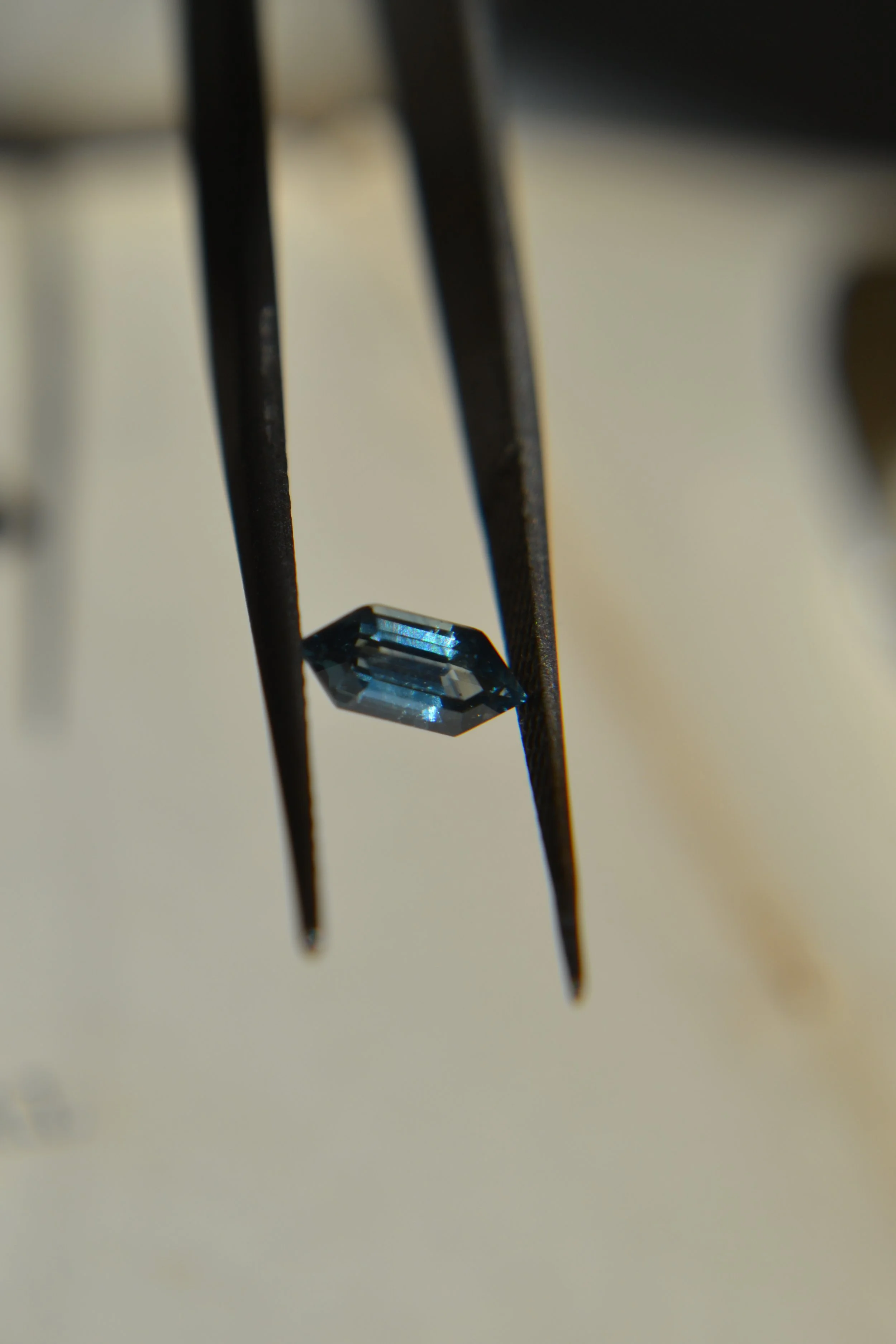 DSC_0816.jpg