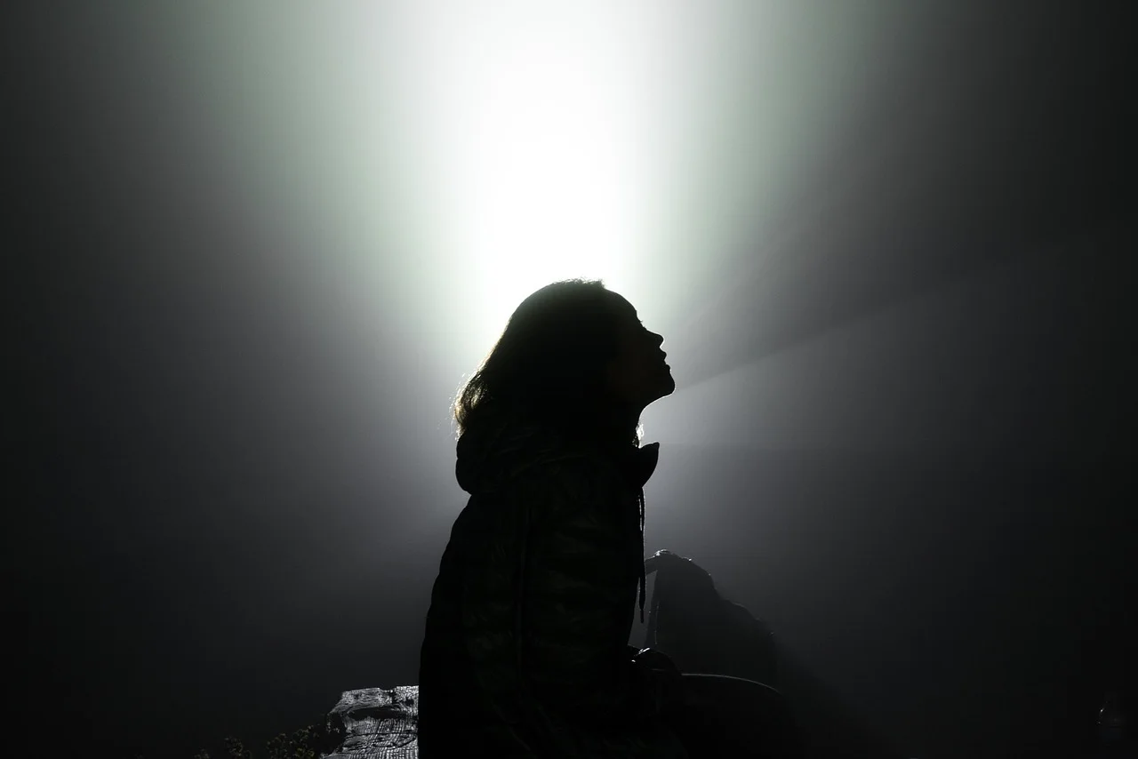 Silhouette cropped 1000 x 720.jpeg