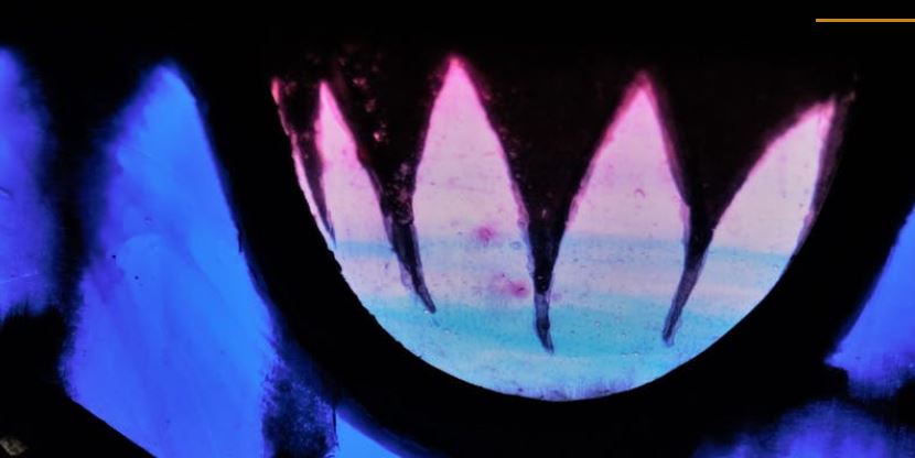 Seeking the Spirit through Art: Intuitive Painting