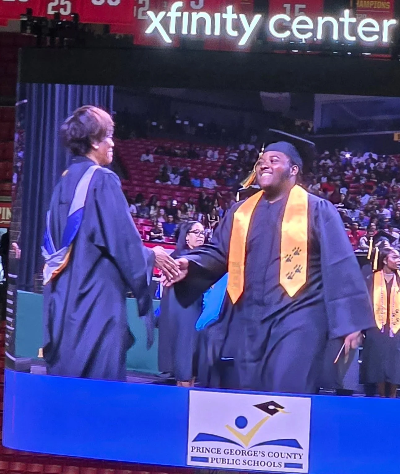 This Nest Will Never Be Empty