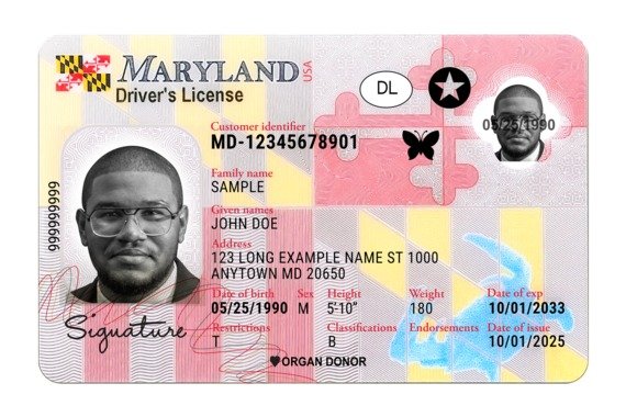 MDOT Unveils The Butterfly Effect