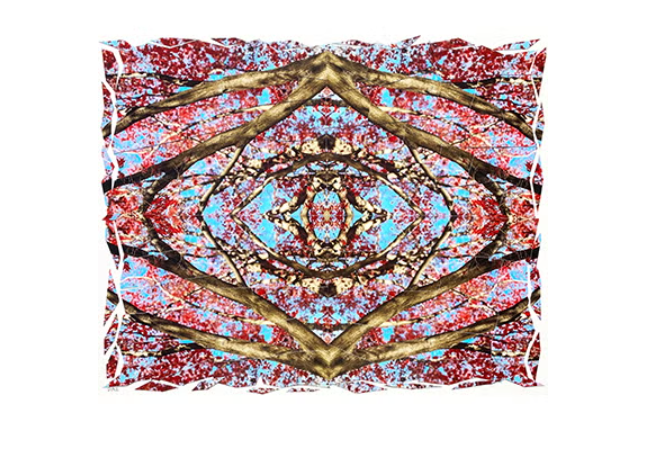 Darren Smith: Human/Nature