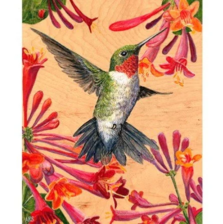 Amanda Spaid: Locals