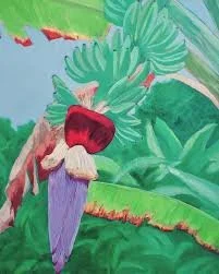 Kimberly Margioni: Fluid Nature