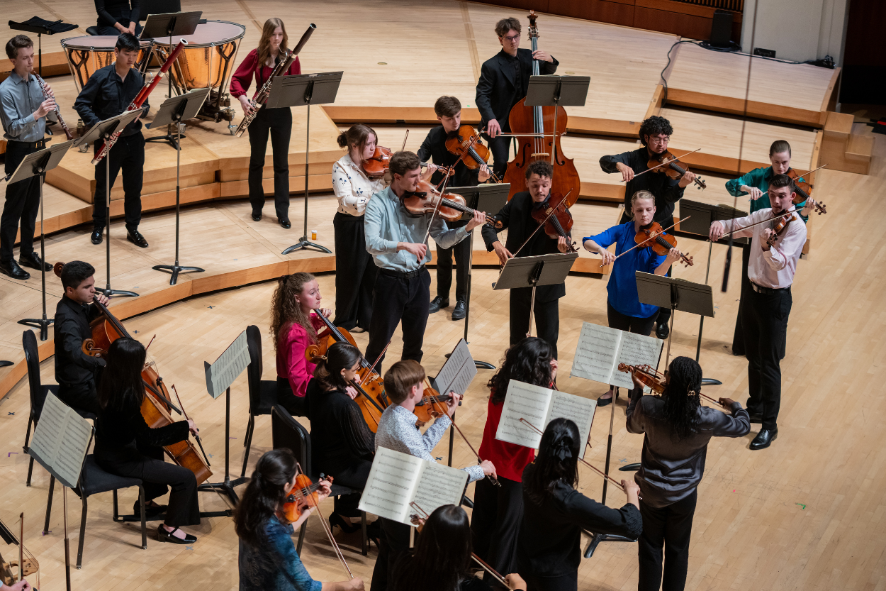 Take The Reins: Chamber Orchestra Concert | NOI Philharmonic