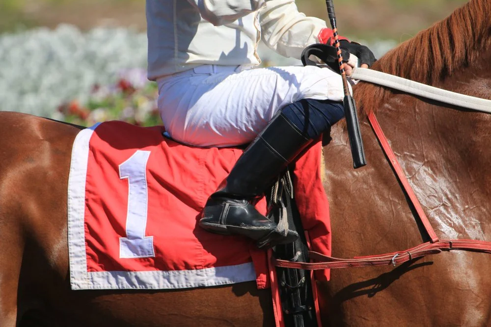 Napolean Solo Wins Preakness