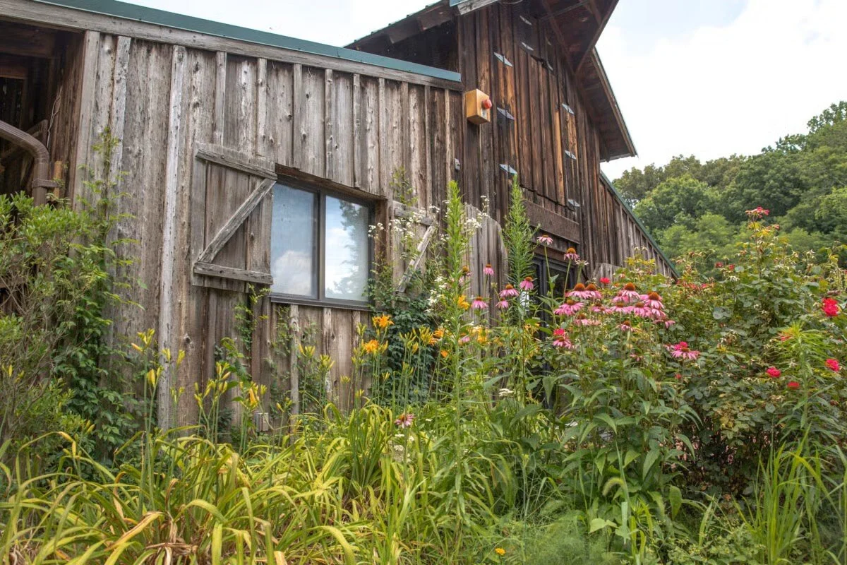 Family Farm Tours