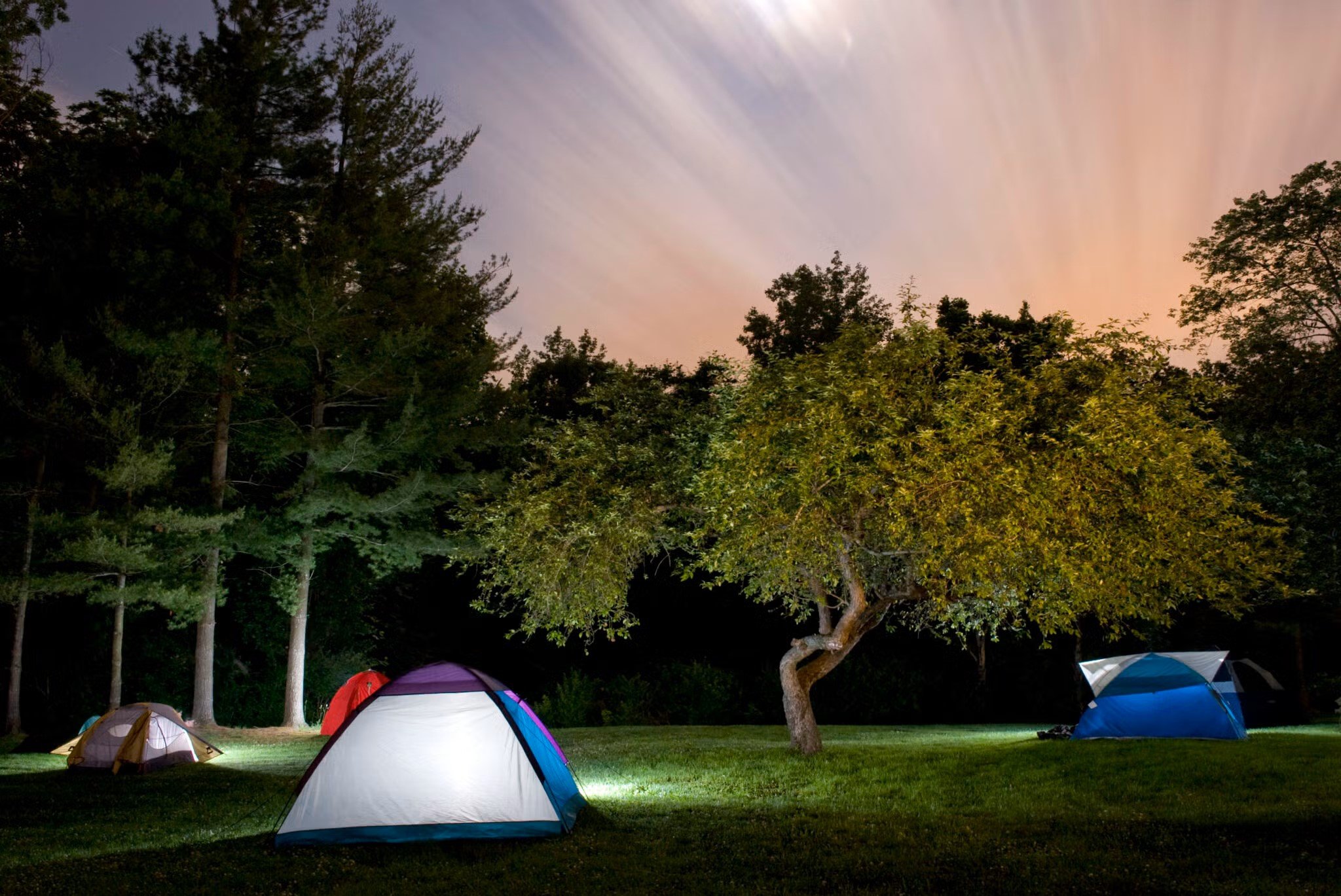 Great American Camp Out 2026