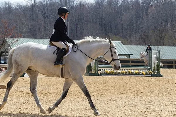 Colonial Classic Horse Show