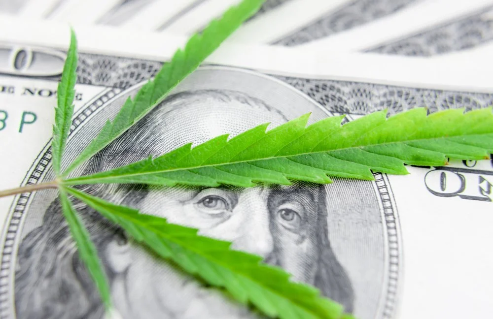 Counting Maryland Cannabis 