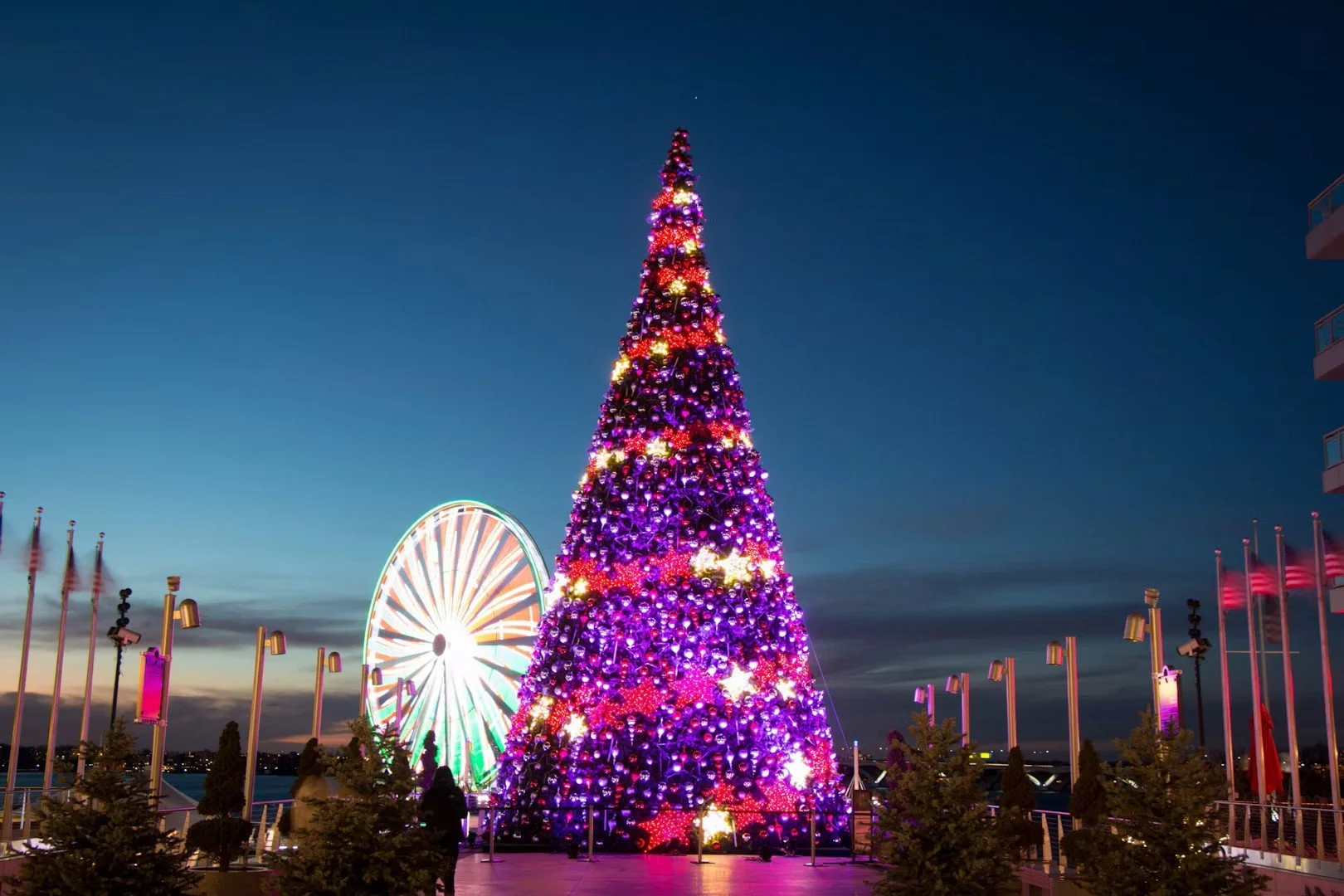 Nightly Tree Lighting Show
